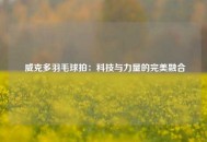  威克多羽毛球拍：科技与力量的完美融合