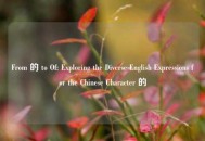 From 的 to Of: Exploring the Diverse English Expressions for the Chinese Character 的