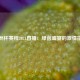 欧洲杯赛程2021直播：绿茵盛宴的激情指南