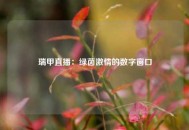 瑞甲直播：绿茵激情的数字窗口