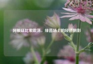 阿根廷比索震荡，绿茵场上的经济阴影