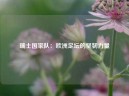 瑞士国家队：欧洲足坛的坚韧力量