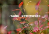 比分直播网：实时赛况的数字脉搏