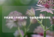手机屏幕上的绿茵激情：中超直播观赛新体验
