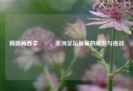 韩国梅西李昇祐，亚洲足坛新星的崛起与挑战