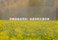  孙杨自由泳夺冠：泳池中的王者归来