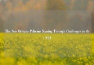The New Orleans Pelicans Soaring Through Challenges in the NBA