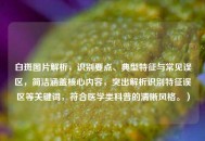 白斑图片解析，识别要点、典型特征与常见误区，简洁涵盖核心内容，突出解析识别特征误区等关键词，符合医学类科普的清晰风格。）