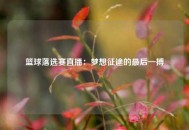 篮球落选赛直播：梦想征途的最后一搏