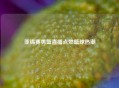 亚锦赛男篮直播点燃篮球热潮