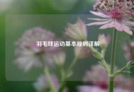  羽毛球运动基本规则详解