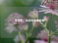 李芭妮：泳池中的破浪者