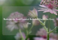 Mastering the Court Essential Basketball English for Every Fan