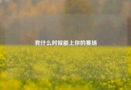 我什么时候能上你的赛场