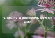 CBA直播CCTV5，篮球盛宴点燃激情，精彩赛事不容错过