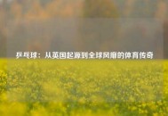 乒乓球：从英国起源到全球风靡的体育传奇