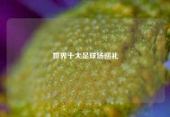 世界十大足球场巡礼
