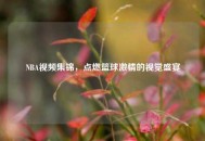 NBA视频集锦，点燃篮球激情的视觉盛宴