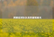  阿根廷球队队员的璀璨星光