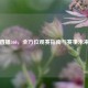 中超直播360，全方位观赛指南与赛事未来展望