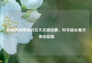 影响狗狗寿命的五大关键因素，科学延长爱犬寿命指南