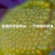 张继科告别球台：一代传奇的转身