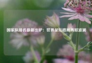 国家队排名最新出炉：世界足坛格局再掀波澜