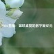 NNBA直播：篮球盛宴的数字新纪元