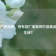 从生产到品牌，羽毛球厂家如何打造高品质羽毛球？