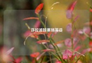  莎拉波娃赛场英姿