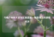 今晚广州恒大足球比赛直播：绿茵场上的激情对决