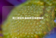 瑞士国家队最新阵容深度解析