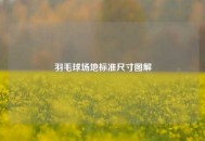 羽毛球场地标准尺寸图解