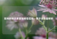 亚洲杯预选赛直播观看指南：多平台全面解析