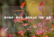  费尔南多·略伦特：绿茵场上的“空霸”传奇