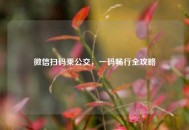 微信扫码乘公交，一码畅行全攻略