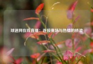 球迷网在线直播：连接赛场与热情的桥梁
