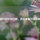 中国行政区划详解，省份数量与划分解析