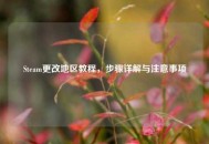 Steam更改地区教程，步骤详解与注意事项