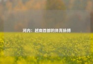 河内：越南首都的体育脉搏