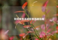 如何观看英超联赛直播指南