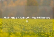 城南FC与首尔FC的德比战：绿茵场上的激情对决