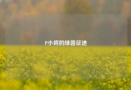 P小将的绿茵征途