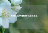 美洲杯的举办周期与足球盛宴