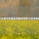 大乐透号码背后的概率博弈与体育精神
