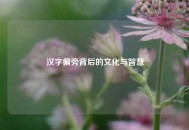 汉字偏旁背后的文化与智慧