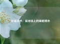  砍鲨战术：篮球场上的策略博弈