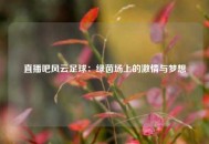 直播吧风云足球：绿茵场上的激情与梦想