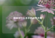 图赫尔什么水平的战术大师