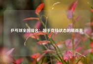 乒乓球全国排名：国手竞技状态的晴雨表